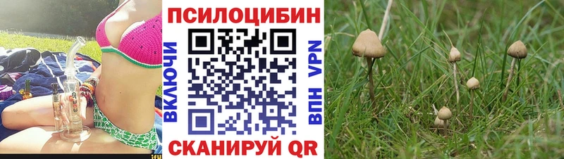 Псилоцибиновые грибы Psilocybine cubensis  магазин  наркотиков  кракен ССЫЛКА  Алзамай 
